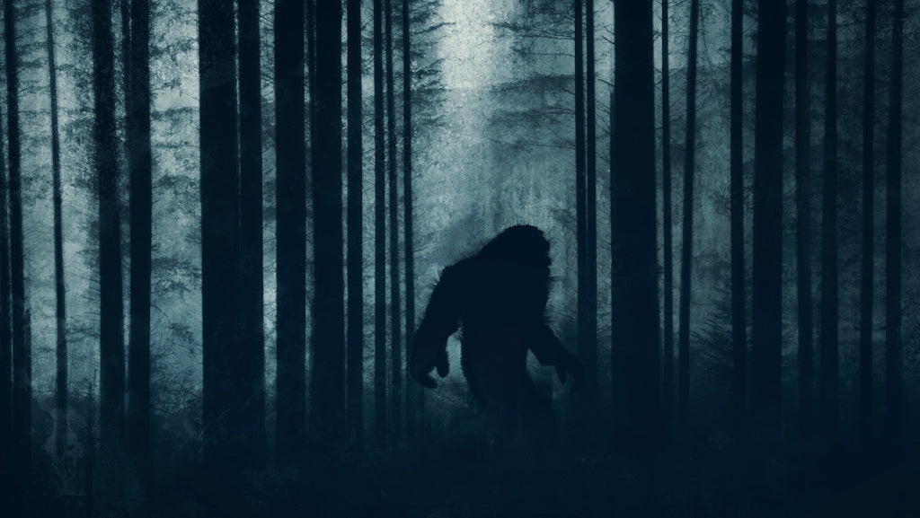 Looking for Bigfoot in Ohio? Here Are Some of the State's Most Famous Cryptids