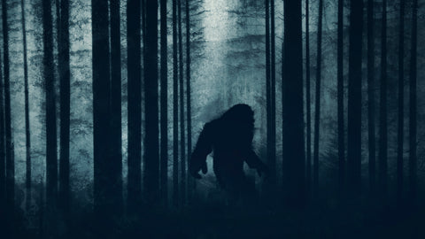 Looking for Bigfoot in Ohio? Here Are Some of the State's Most Famous Cryptids