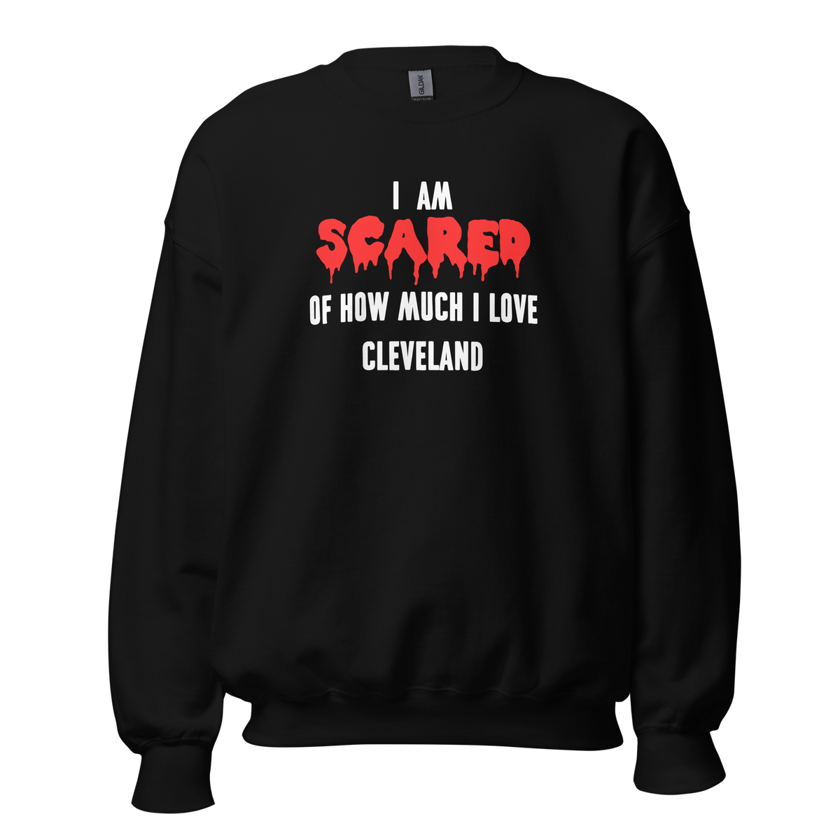 I Am Scared of How Much I Love Cleveland Sweatshirt – Cleveland Vintage ...